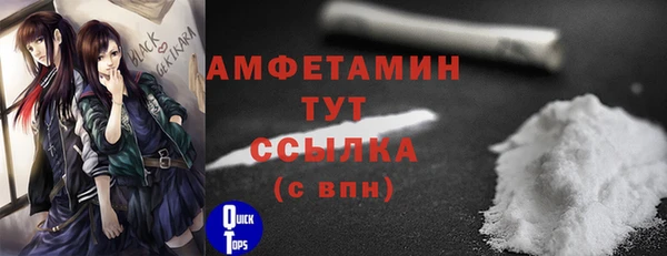 шишки Сосновый Бор