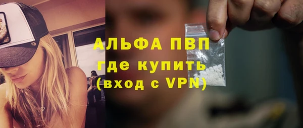 сатива Богданович