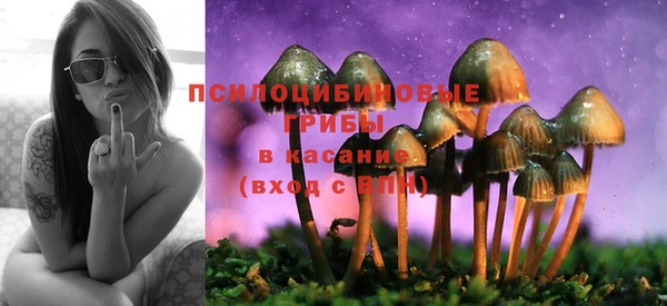 сатива Богданович